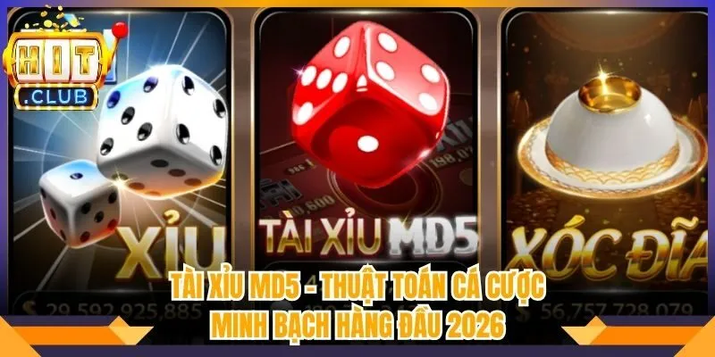 Tài Xỉu MD5 - Thuật Toán Cá Cược Minh Bạch Hàng Đầu 2026