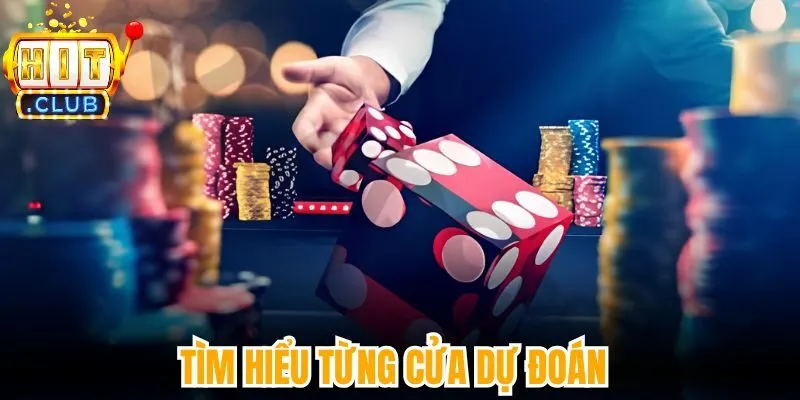 Tìm hiểu từng cửa dự đoán 